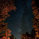 스테이해봄 | 이솝 어보브어스 스테오라, 이걸 왜 지금 냈을까? - 이솝 신상 향수 솔직 후기