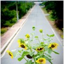 대경당구장 이미지