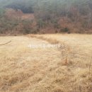 율촌부동산공인중개사사무소 이미지