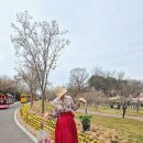 주식회사단풍나무짐 | 논산딸기축제 2026 후기 킹스베리딸기모종 논산딸기 먹거리