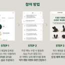 럭키래빗