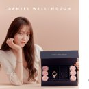 다니엘플라워 이미지