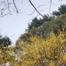 260306 부산 수영사적공원 &amp; 초원복집 이미지