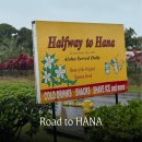 평화주유소 | [하와이] 로드 투 하나 Road to HANA 드라이브 후기 🌈 | 마우이 최고의 드라이브 코스