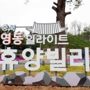 영동 일라이트 휴양빌리지 네이버블로그