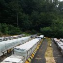 서영농장 이미지