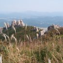 은경목장 이미지