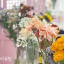 주드리꽃방