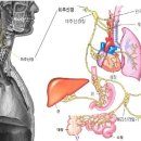 마음담은한의원 이미지