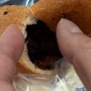 보리콩이네 | 부천 식빵 맛집 추천 참새보리식빵 부천 본점 솔직 후기