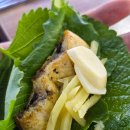 금빛장어 이미지