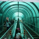 명지갯벌횟집 이미지