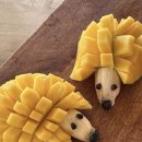 즐거워 GYM 이미지