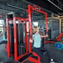 헬스피티 이미지