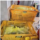 아리울익스프레스 이미지