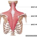 피트니스, 그 순간 네이버블로그