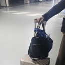 씨유루원SK리더스점 | 11월 27일, 루원시티 영어학원 뇌파측정 후기: 학생들의 미래를 위한 '뇌 상태' 점검