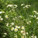 합천군산림조합 이미지