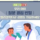 빈혈 정상수치 원인 증상 검사 빈혈에 좋은 음식 이미지