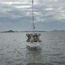 신안낚시터 이미지