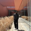 북부신발총판매점 | 살로몬과 함께하는 봄 :: 모디세이 에어로 바람막이, 노바 슬레이트 팬츠, XT-6 GTX 신발 내돈내산 후기
