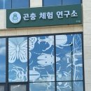 곤충연구소 실내 이미지