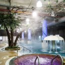 황금스파밸리 이미지