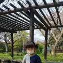 정모시공원 이미지