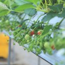 승현1농장 이미지