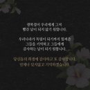 동아 태권도 이미지