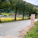 4월의밀밭 이미지