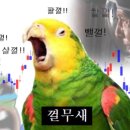 아래치 이미지