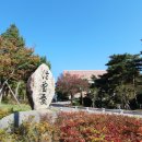 포항시 육아종합 지원센터 이미지