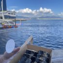 오동동142 이미지