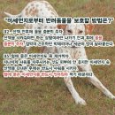 샵추억