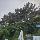 꽃지 팰리스 | 태안해수욕장 펜션 추천 : 꽃지팰리스펜션 1박 가족여행 후기