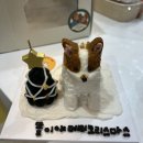 샘펫스튜디오