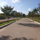 낙동강체육공원 야구장 화장실 이미지