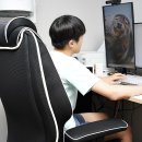 제닉스아레나PC방 | 허리 편한 메쉬 게이밍 컴퓨터 의자 제닉스 아레나 프라임 후기