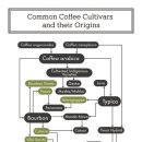 그린에어로빅 이미지