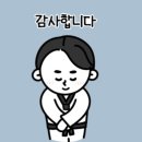 용인대 금곡 태권도 이미지