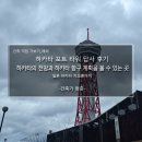 타이어플래너 | 하카타 포트 타워 답사 후기_하카타의 전망과 하카타 항구 계획을 볼 수 있는 곳