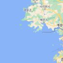 아라파니 Daum카페