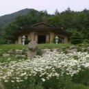 명주사 - 1369 | 명주사