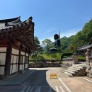 신흥사 | [5월 여행가는 달] 설악산 신흥사 템플스테이 추천 후기(예약, 주차, 준비물, 프로그램)