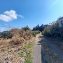 성읍리-2 이미지