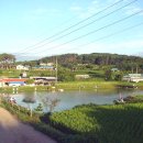 금호민박 이미지