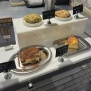 티-스테이션 | 강원도 동해 묵호 애견 동반 카페 카라멜 스테이션 방문 후기