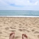 바달로나 이미지