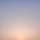 애견카페 펍 곰곰 이미지